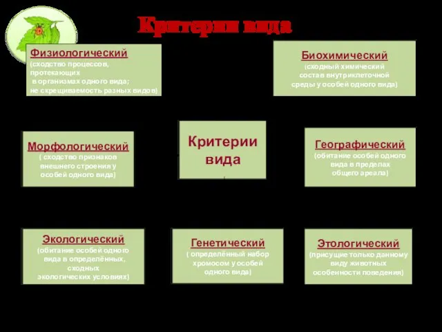 Критерии вида Физиологический (сходство процессов, протекающих в организмах одного вида; не