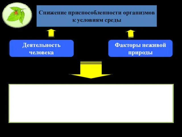 Вымирание видов из-за глобальных изменений климата Исчезновение видов по вине человека