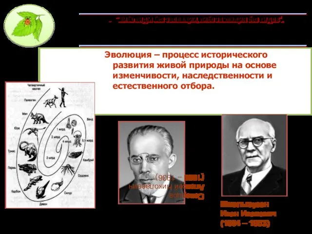 Эволюция – процесс исторического развития живой природы на основе изменчивости, наследственности