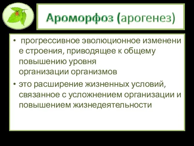 прогрессивное эволюционное изменение строения, приводящее к общему повышению уровня организации организмов