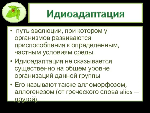 путь эволюции, при котором у организмов развиваются приспособления к определенным, частным