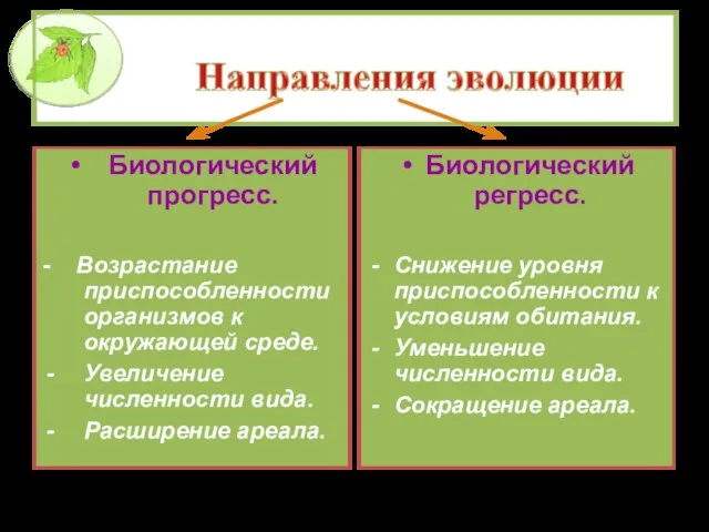 Биологический прогресс. - Возрастание приспособленности организмов к окружающей среде. Увеличение численности