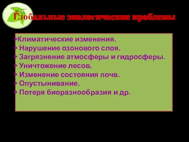 Климатические изменения. Нарушение озонового слоя. Загрязнение атмосферы и гидросферы. Уничтожение лесов.