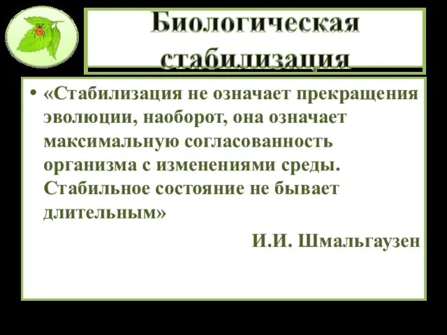 «Стабилизация не означает прекращения эволюции, наоборот, она означает максимальную согласованность организма