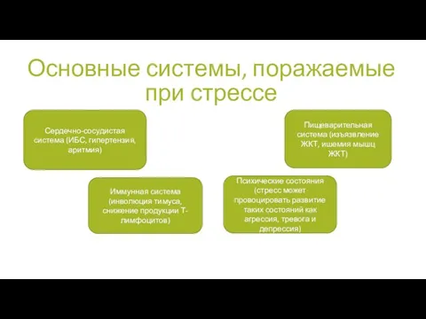 Основные системы, поражаемые при стрессе Сердечно-сосудистая система (ИБС, гипертензия, аритмия) Иммунная