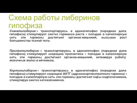 Схема работы либеринов гипофиза Соматолиберин > транспортируясь в аденогипофиз (передняя доля