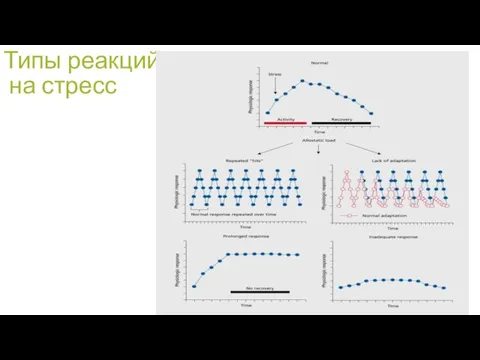 Типы реакций на стресс