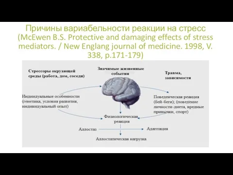 Причины вариабельности реакции на стресс (McEwen B.S. Protective and damaging effects