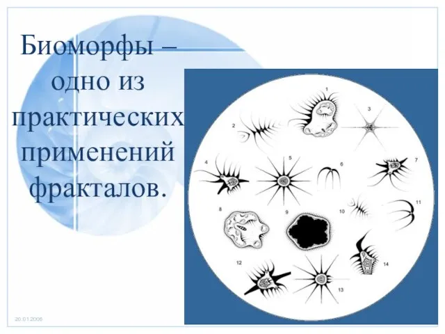 Биоморфы – одно из практических применений фракталов.