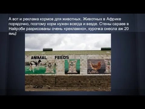 А вот и реклама кормов для животных. Животных в Африке порядочно,