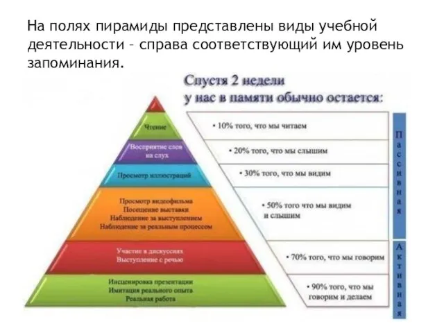 На полях пирамиды представлены виды учебной деятельности – справа соответствующий им уровень запоминания.