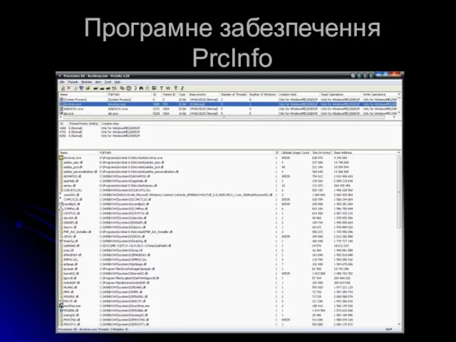 Програмне забезпечення PrcInfo