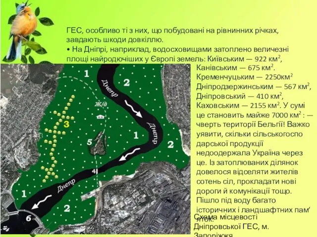 ГЕС, особливо ті з них, що побудовані на рівнинних річках, завдають