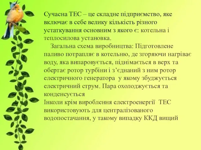 Сучасна ТЕС – це складне підприємство, яке включає в себе велику