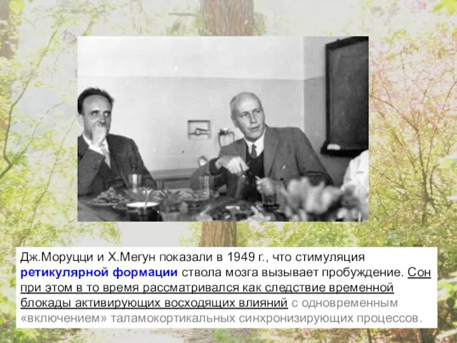 Дж.Моруцци и Х.Мегун показали в 1949 г., что стимуляция ретикулярной формации