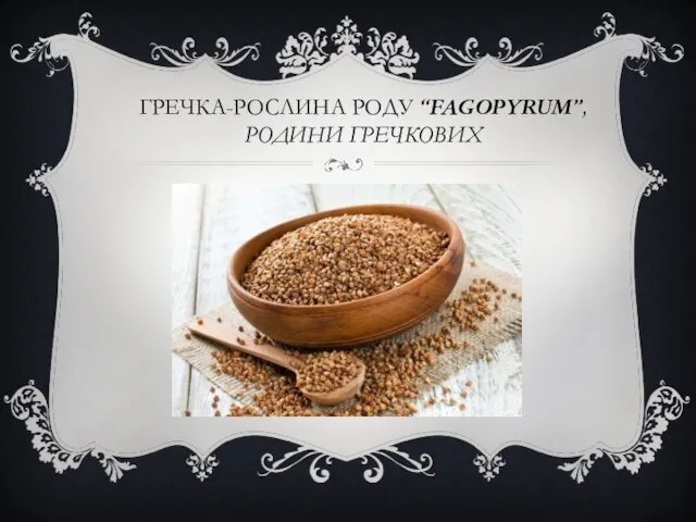 ГРЕЧКА-РОСЛИНА РОДУ “FAGOPYRUM”,РОДИНИ ГРЕЧКОВИХ