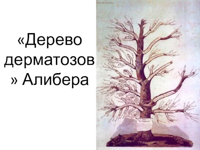 «Дерево дерматозов» Алибера