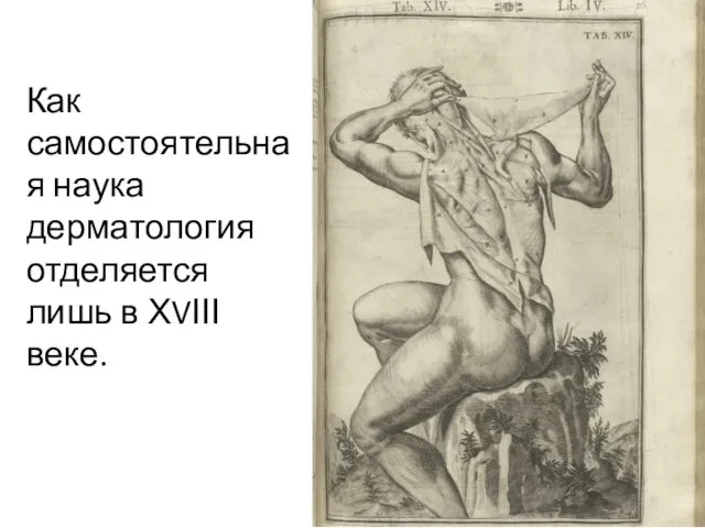 Как самостоятельная наука дерматология отделяется лишь в ХVІІІ веке.