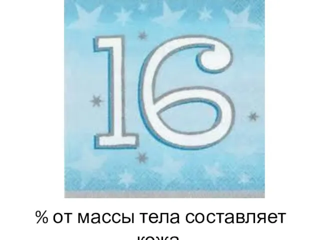 % от массы тела составляет кожа.