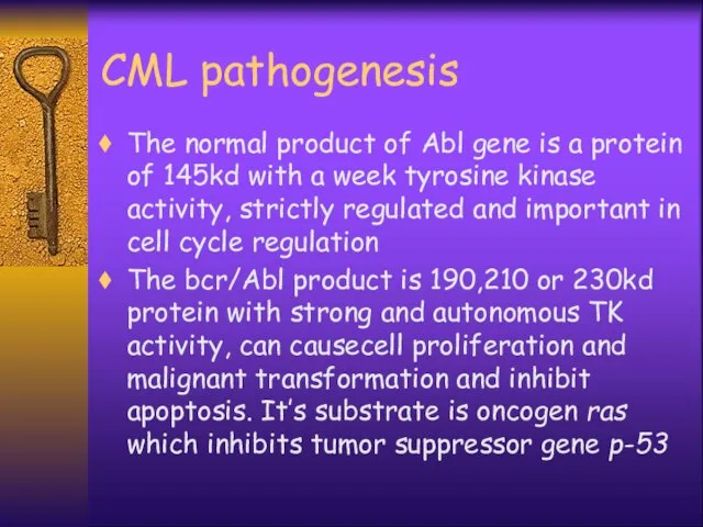 CML pathogenesis The normal product of Abl gene is a protein