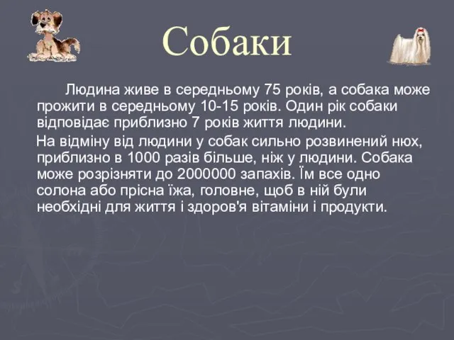 Собаки Людина живе в середньому 75 років, а собака може прожити