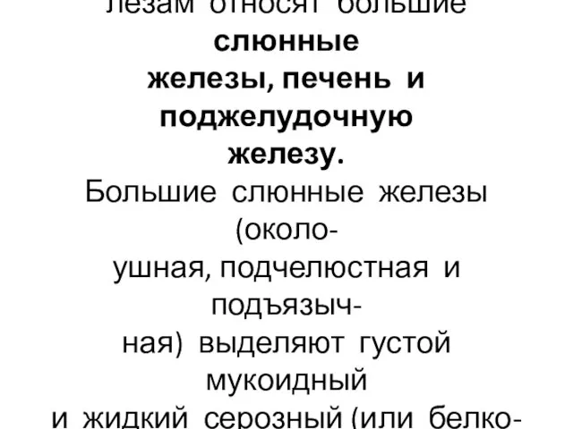 К большим пищеварительным же- лезам относят большие слюнные железы, печень и