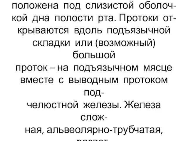 Подъязычная слюнная железа рас- положена под слизистой оболоч- кой дна полости