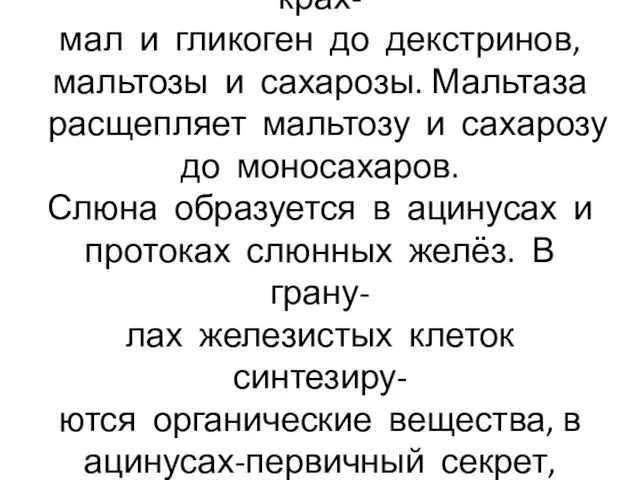 Амилаза слюны расщепляет крах- мал и гликоген до декстринов, мальтозы и