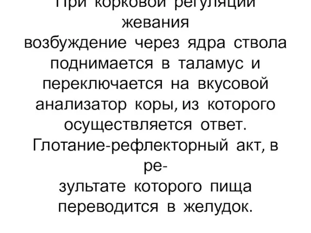 При корковой регуляции жевания возбуждение через ядра ствола поднимается в таламус