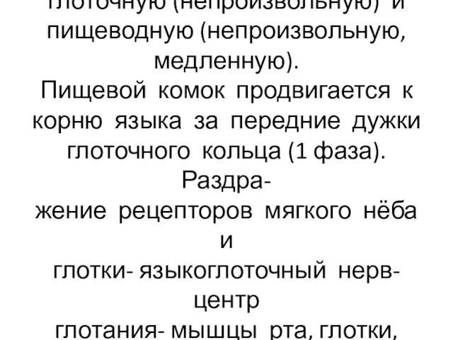 Глотание протекает в 3 фазы: ротовую (произвольную),глоточную (непроизвольную) и пищеводную (непроизвольную,