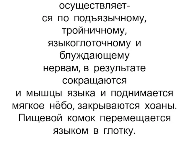 Иннервация мышц осуществляет- ся по подъязычному, тройничному, языкоглоточному и блуждающему нервам,