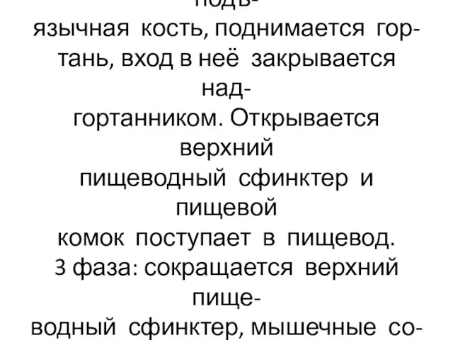 2 фаза глотания: смещается подъ- язычная кость, поднимается гор- тань, вход