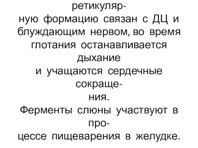 Центр глотания через ретикуляр- ную формацию связан с ДЦ и блуждающим