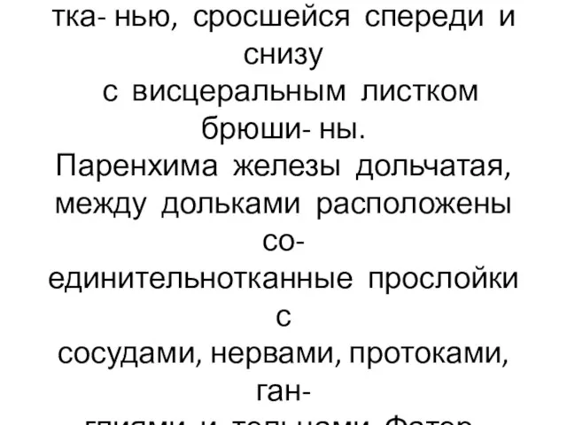 Длина железы 12-15 см, снаружи она покрыта соединительной тка- нью, сросшейся