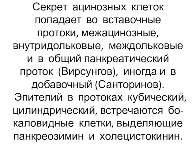 Секрет ацинозных клеток попадает во вставочные протоки, межацинозные, внутридольковые, междольковые и