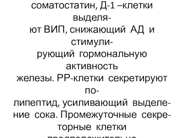 Д-клетки (5-1О%) расположены по периферии островков и выделяют соматостатин, Д-1 –клетки