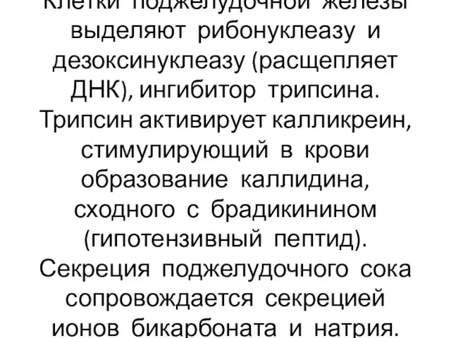 Клетки поджелудочной железы выделяют рибонуклеазу и дезоксинуклеазу (расщепляет ДНК), ингибитор трипсина.