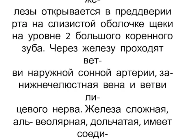 Выводной проток околоушной же- лезы открывается в преддверии рта на слизистой