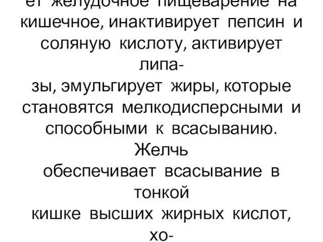 Желчь в 12-перстной кишке меня- ет желудочное пищеварение на кишечное, инактивирует