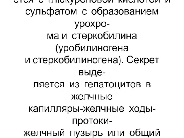 В гепатоцитах билирубин соединя- ется с глюкуроновой кислотой и сульфатом с