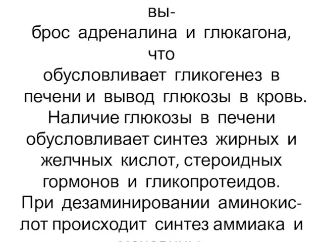 При гипогликемии происходит вы- брос адреналина и глюкагона, что обусловливает гликогенез