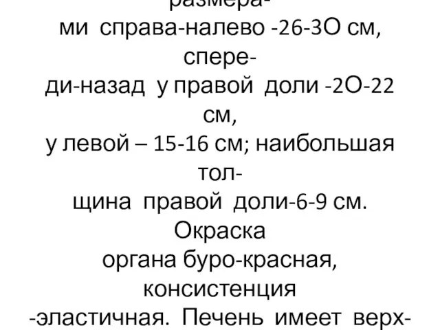 Печень –железистый паренхиматоз- ный орган массой 1,5 кг, размера- ми справа-налево