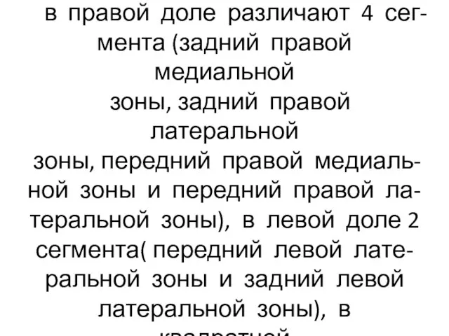 Сегменты печени (8 сегментов): в правой доле различают 4 сег- мента