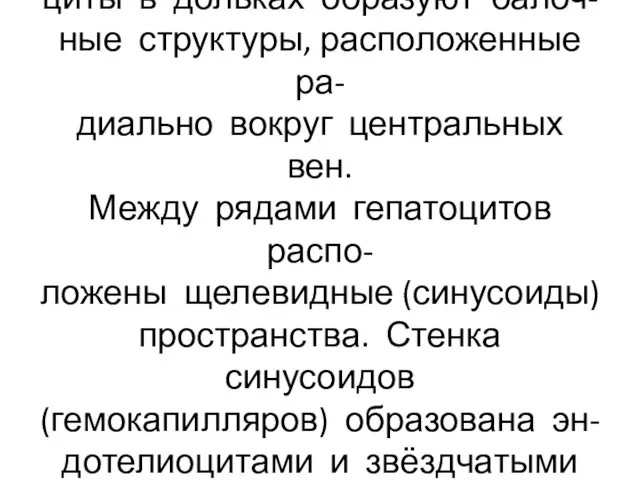 Сегменты состоят из долек, гепато- циты в дольках образуют балоч- ные