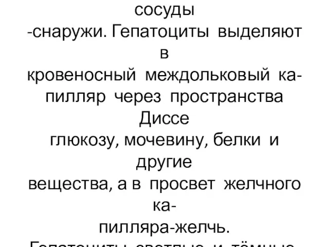 Желчные капилляры расположены внутри балок, кровеносные сосуды -снаружи. Гепатоциты выделяют в