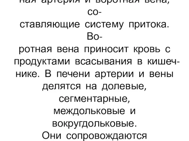 В ворота печени входят печёноч- ная артерия и воротная вена, со-