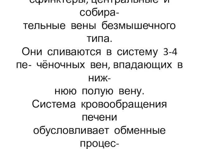 В междольковых и вокругдолько- вых венах имеются мышечные сфинктеры, центральные и