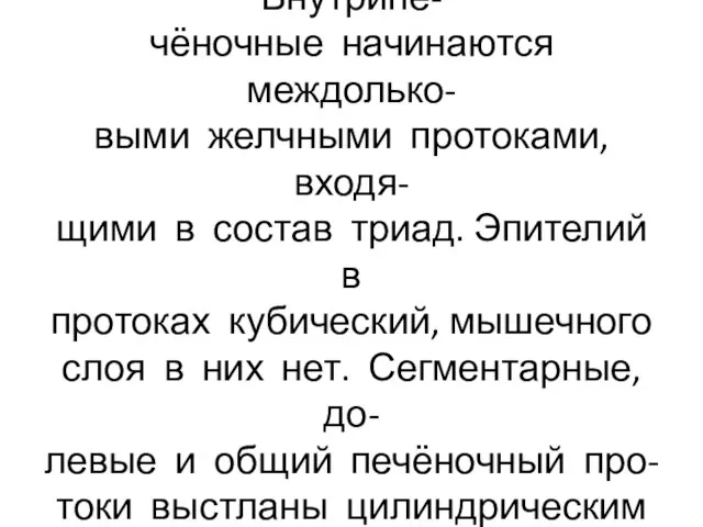 Различают внутри-и внепечёночные желчевыводящие пути. Внутрипе- чёночные начинаются междолько- выми желчными