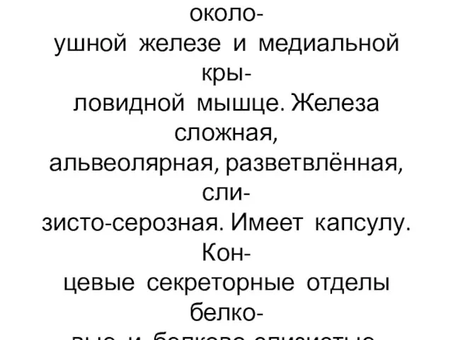 Подчелюстная железа расположена в подчелюстной ямке, окружена фасцией, подходит сзади к