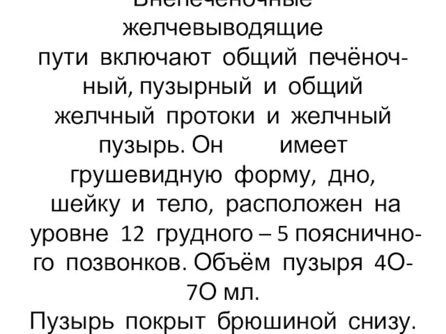 Внепечёночные желчевыводящие пути включают общий печёноч- ный, пузырный и общий желчный